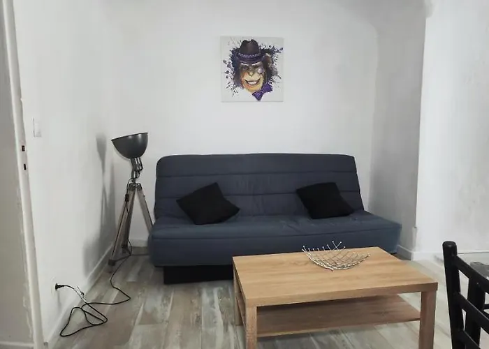 Appartement Le Republique Idealement Situe.
